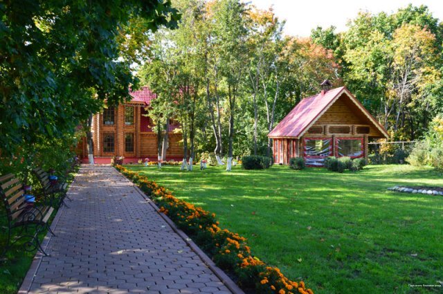 Фото Кленовая роща