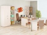 Mandarin storage (улица Маерчака, 49), office furniture