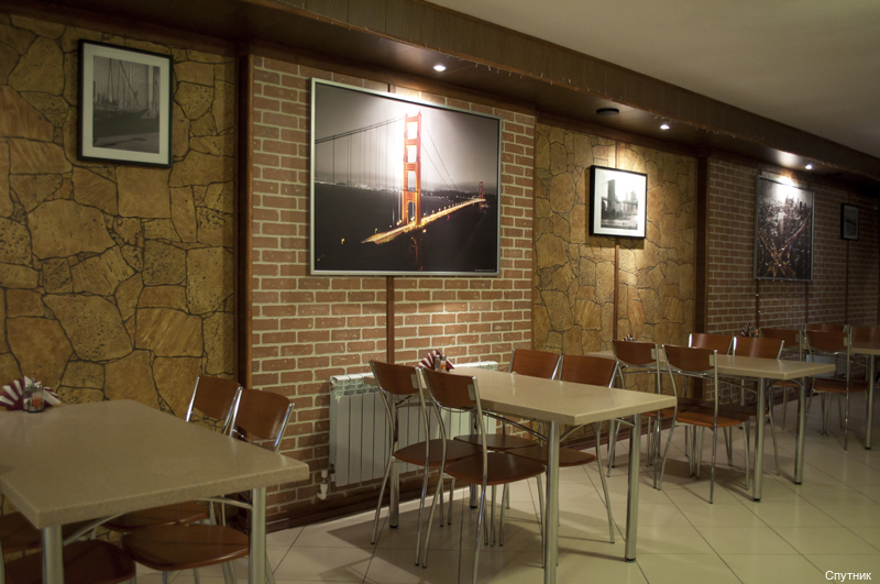 Фото Спутник