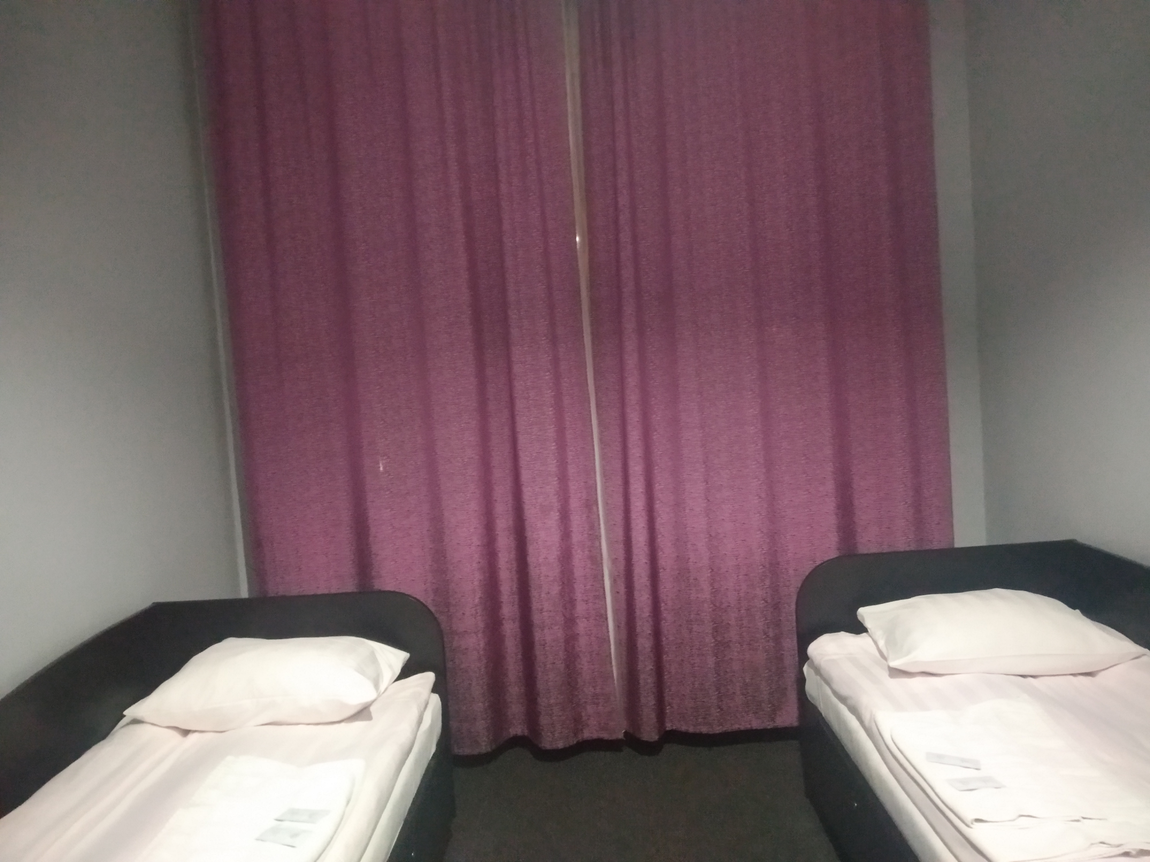 Фото Крокус