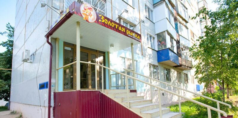 Фото Золотая рыбка