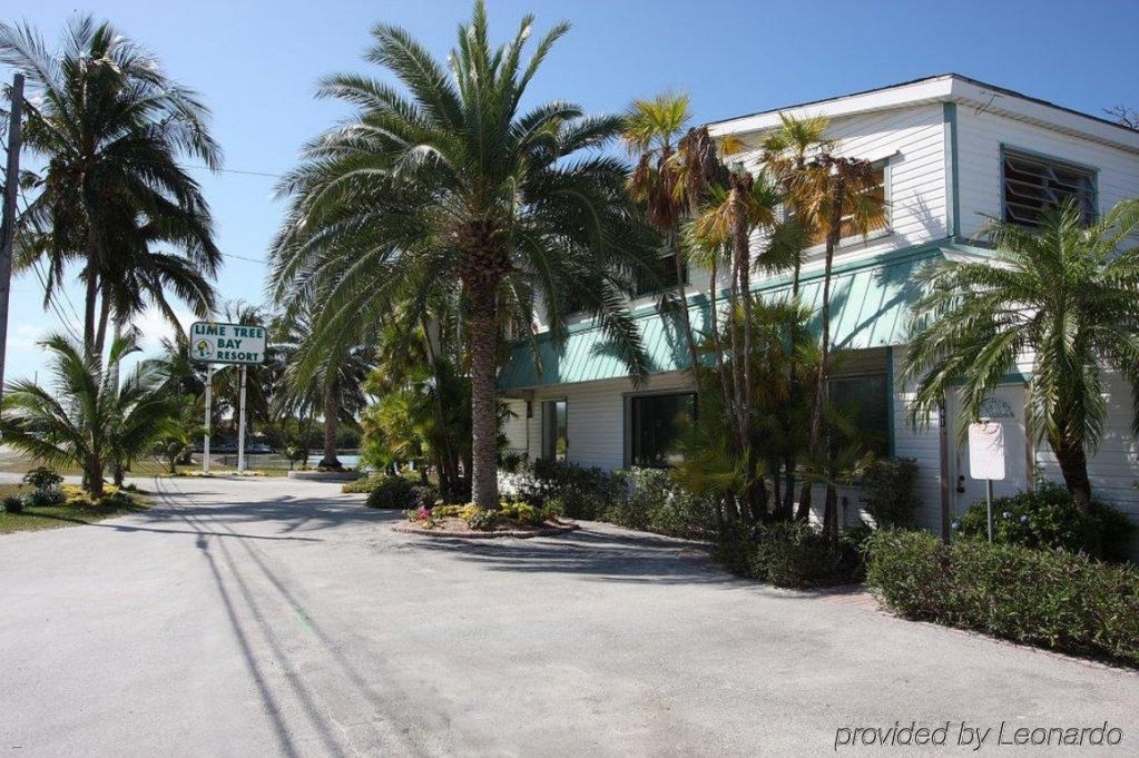 Фото Lime Tree Bay Resort