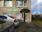 Vygodno ot 44 rubley (Karpinskogo Street, 15), home goods store