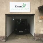 BloomX (Malenkovskaya Street, 32с1), flower market