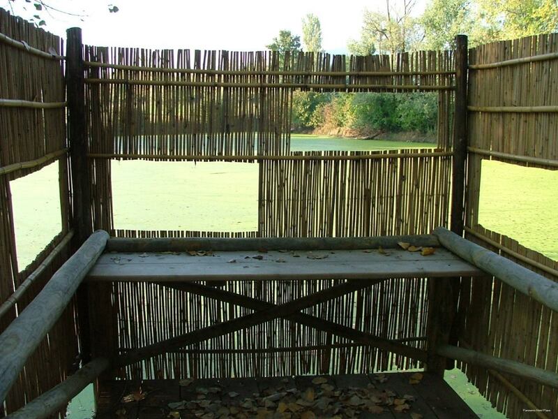 Фото Panoramic Hotel Plaza