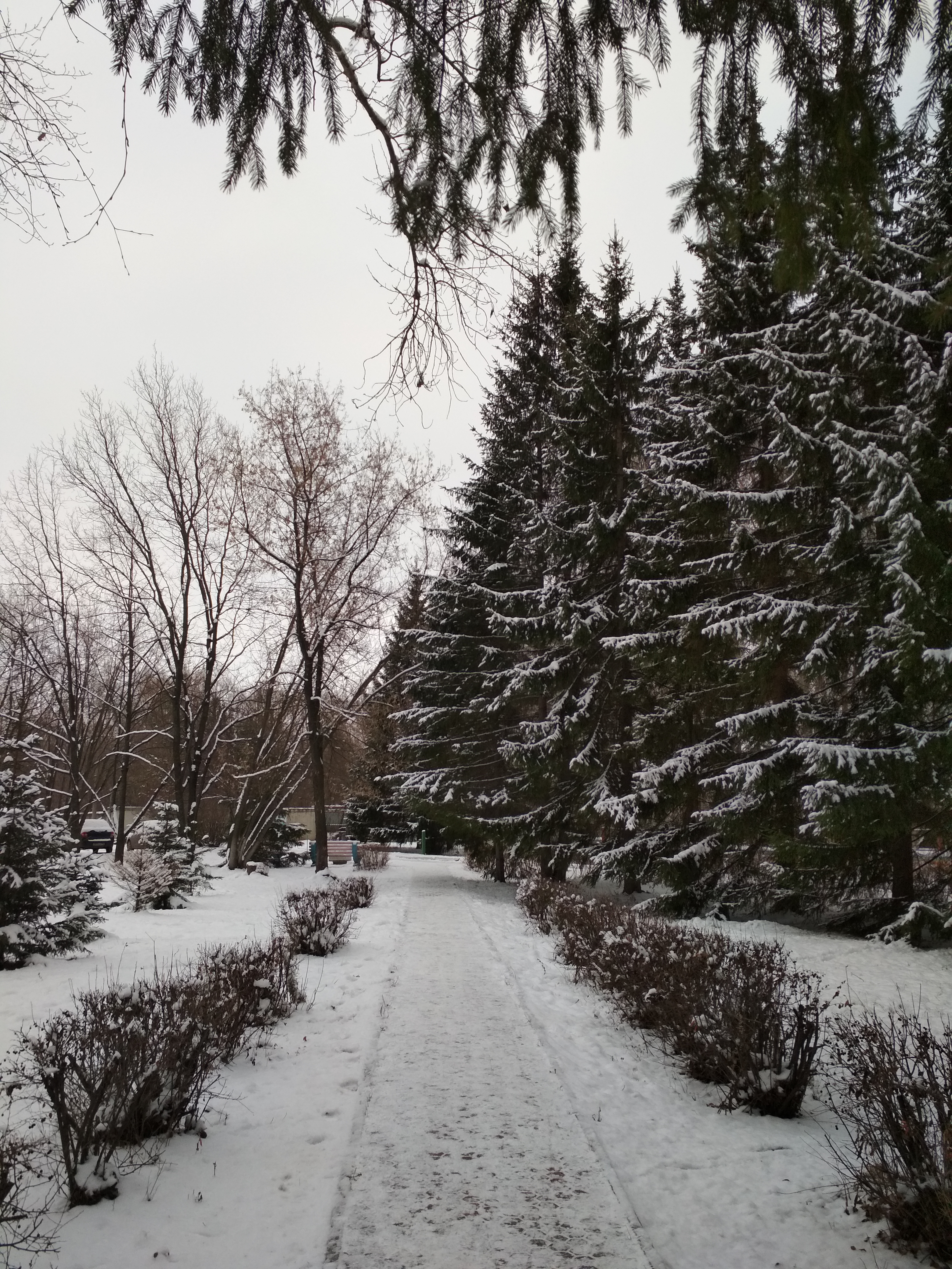 Фото Жемчужина