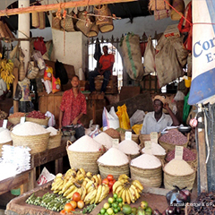 Фото Samaki Lodge