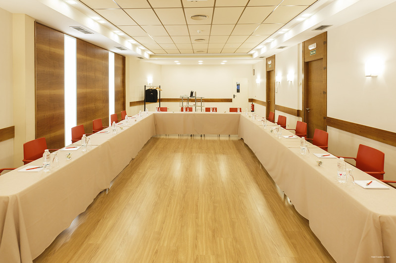 Фото Hotel Condes de Haro