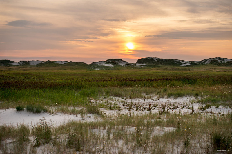 Фото Ambassador Hotel & SPA