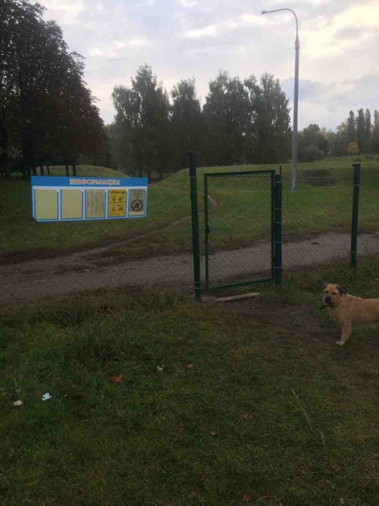 Собачья площадка Собачья площадка, Минск, фото