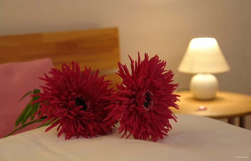 Фото The niu Sparrow