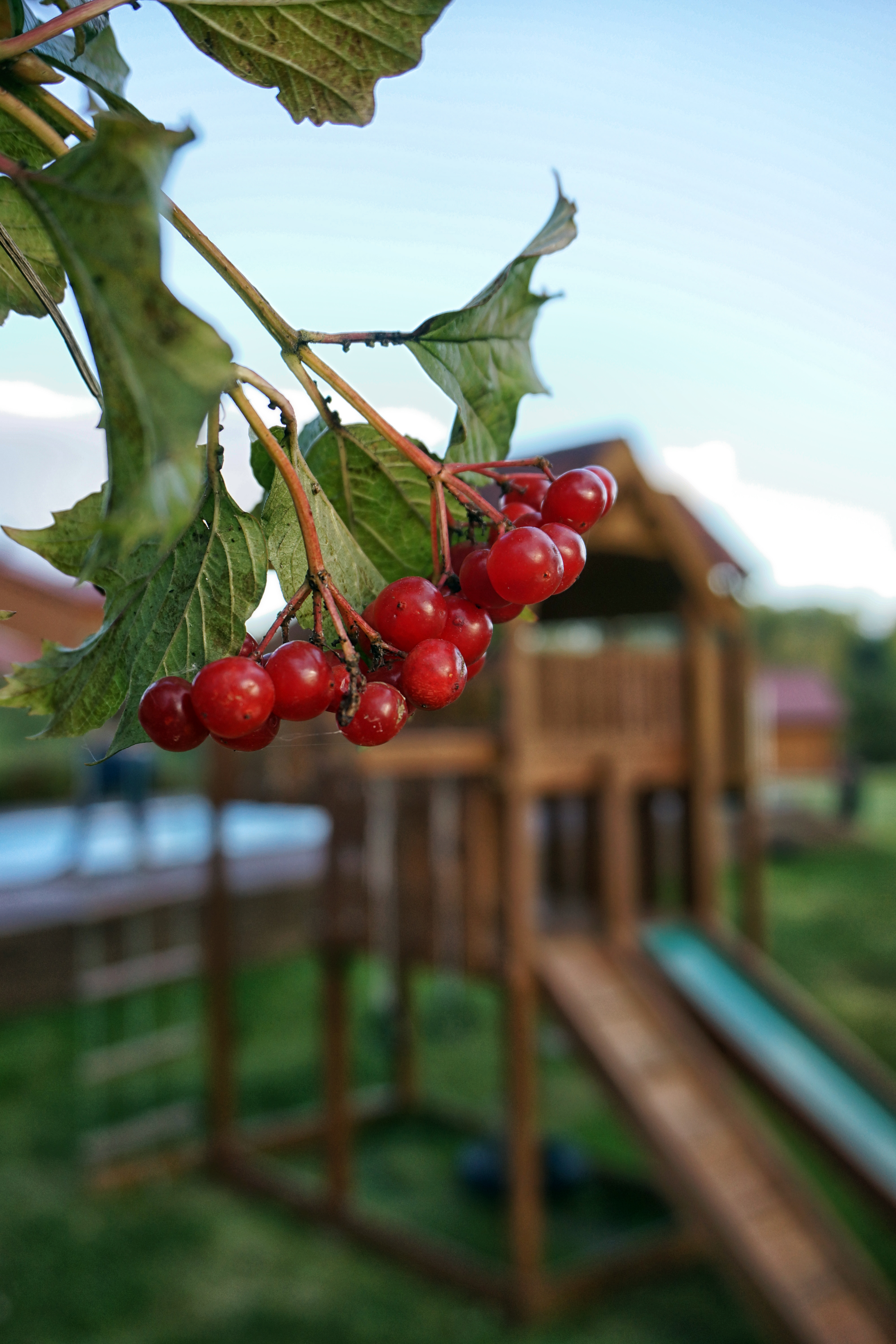 Фото Имение Богатыри