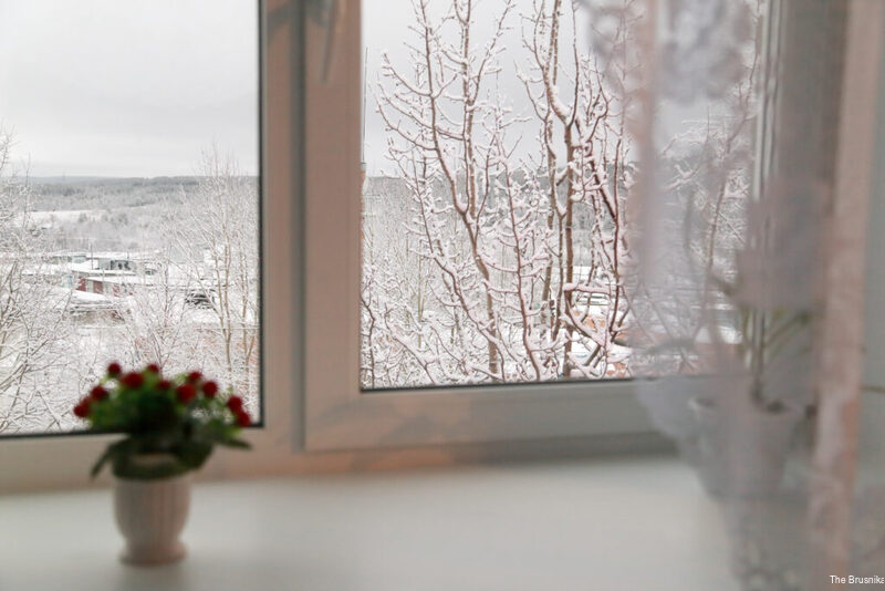 Фото Брусника