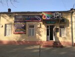 Samir Prestige Service (Alisher Navoiy Street, 30), advertising agency