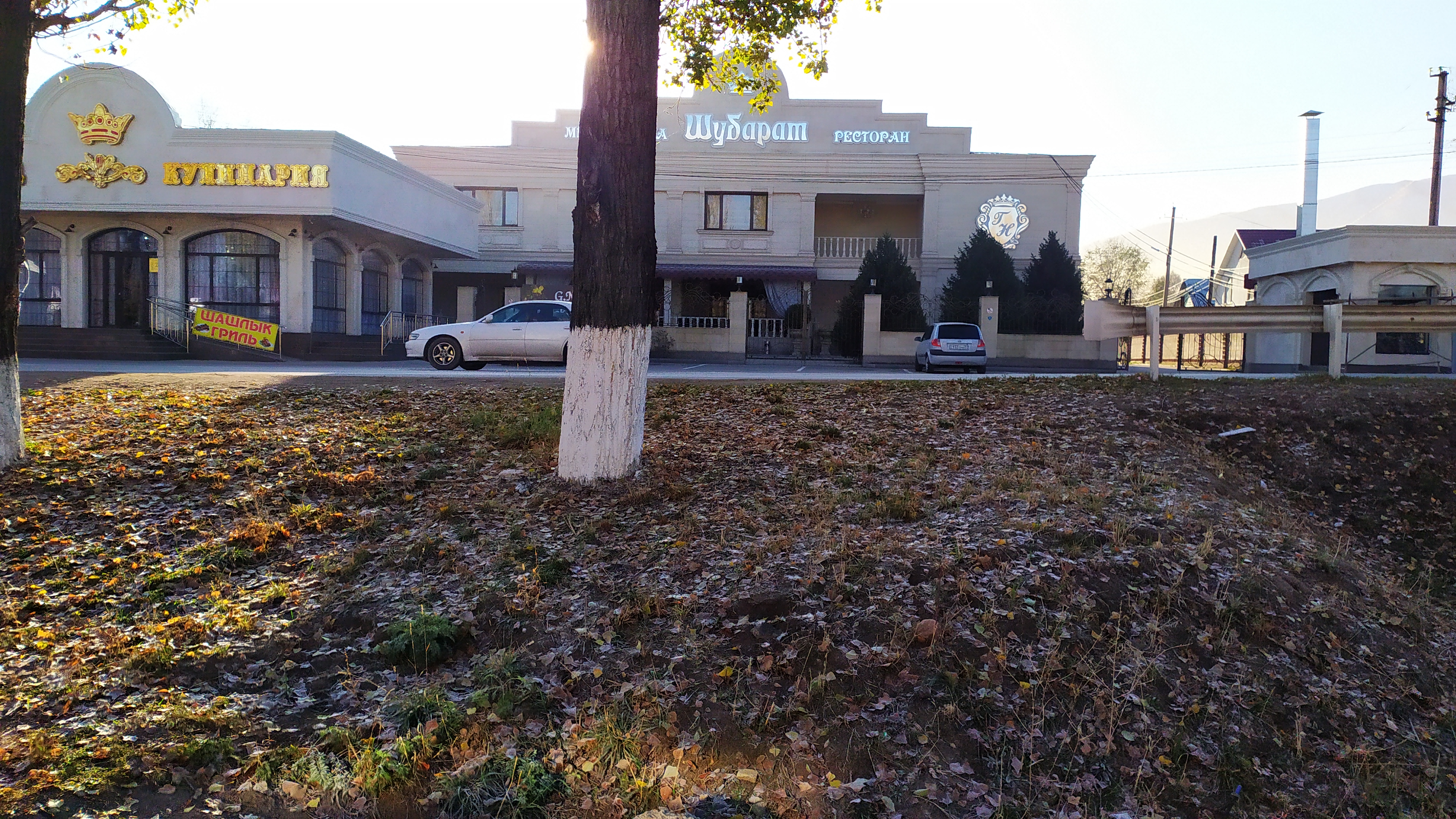 Жас транссексуалдар бейнеленген порно