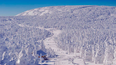 Фото Gite Du Mont Albert