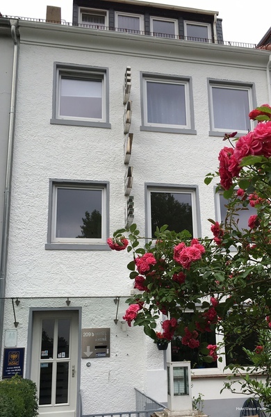 Фото 83490228967