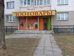 Pet store (Zhudro Street, 33), pet shop