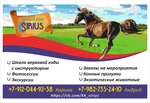 Sirius (Нижний Тагил, ул. Восточный Склон, 2А), конный клуб в Нижнем Тагиле