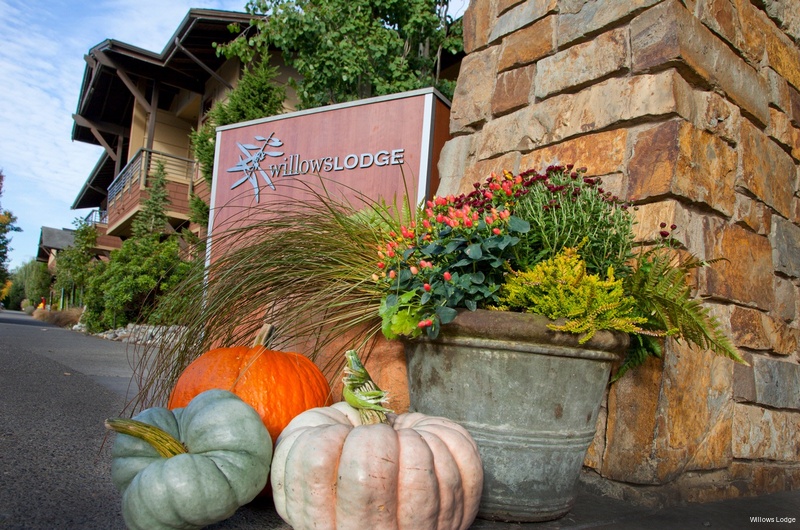 Фото Willows Lodge