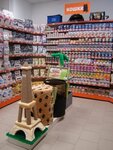 Kotmart (ulitsa Odoyevskogo, 1/12) ، متجر للحيوانات الأليفة