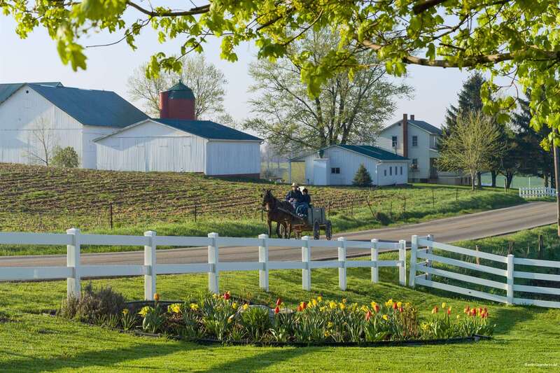 Фото Berlin Grande Hotel