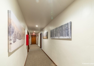 Фото Pokolodi Lodge