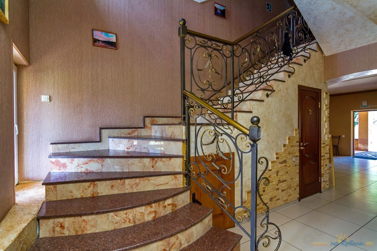 Фото Аммонит