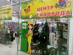 Сайт Магазина Центр Садовода Оренбург