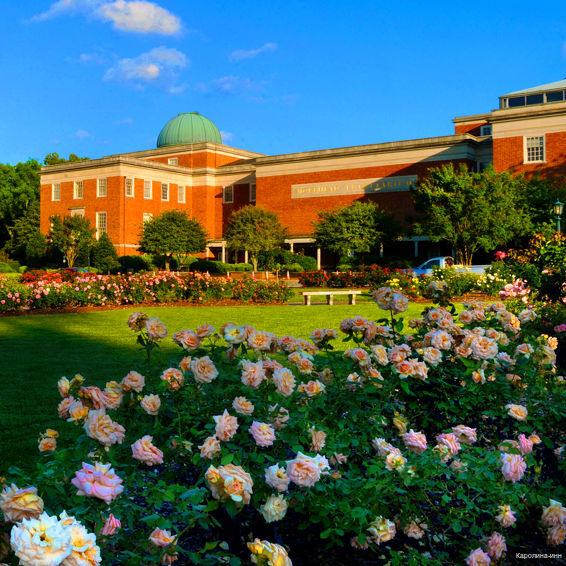 Фото The Carolina Inn, a Destination by Hyatt Hotel