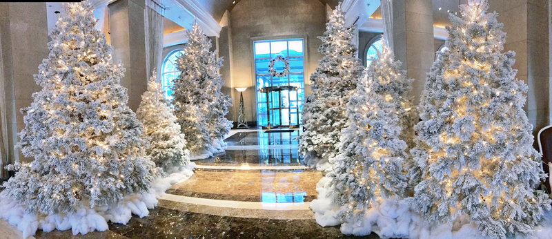 Фото Hotel Crescent Court