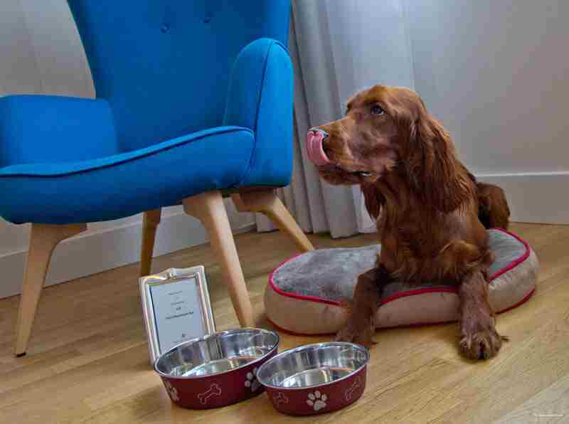 Фото Nh Collection Mexico City Airport T2