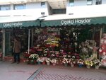 Cicekci Haydar (Ankara Province, Cankaya District, Cumhuriyet Neighborhood, Thessaloniki Street, 15) ، محل زهور