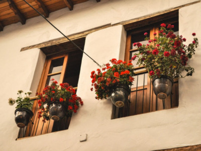 Фото Carlota Sustainable Design Hotel