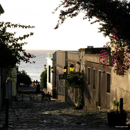 Фото New Arapey Hotel