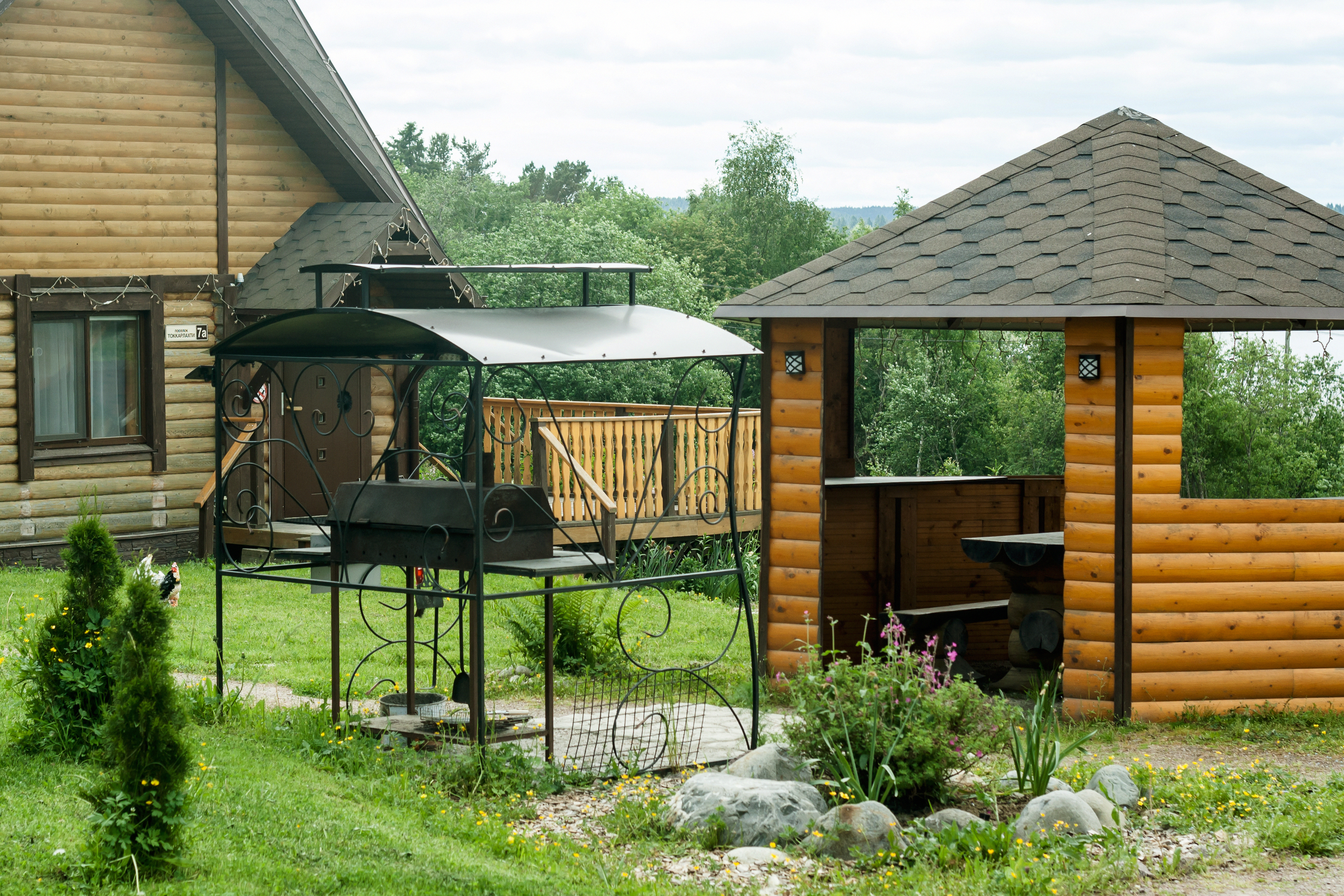 Фото Тихотут