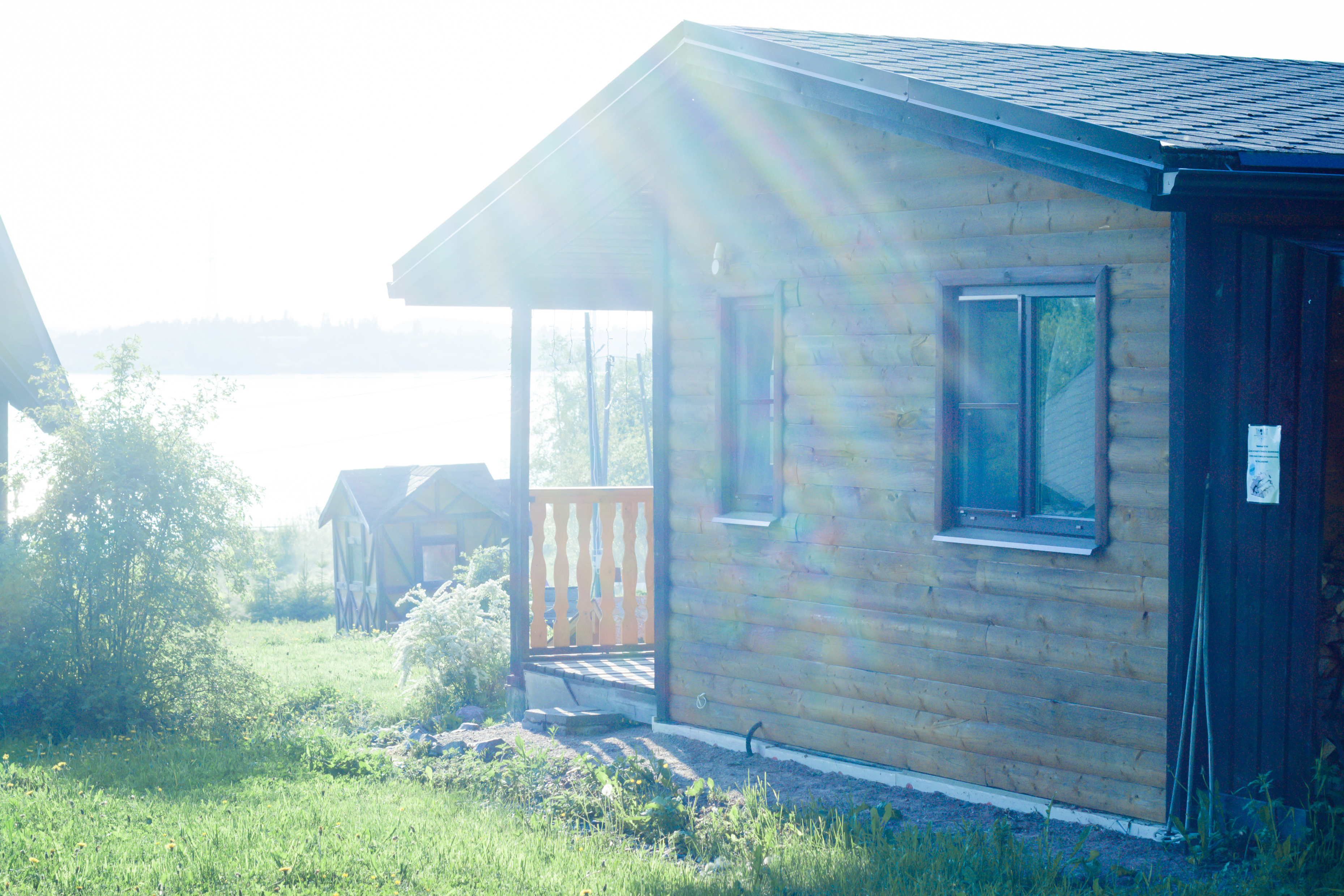 Фото Тихотут