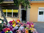 Цветы (Prikubanskiy City administrative district, mikrorayon Slavyanskiy, Slavyanskaya ulitsa, 8), flower shop