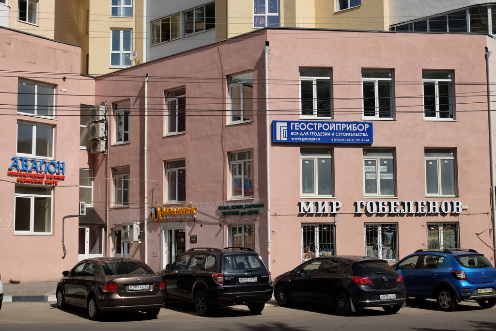 Воронеж сколиолоджик ул моисеева 10 фото