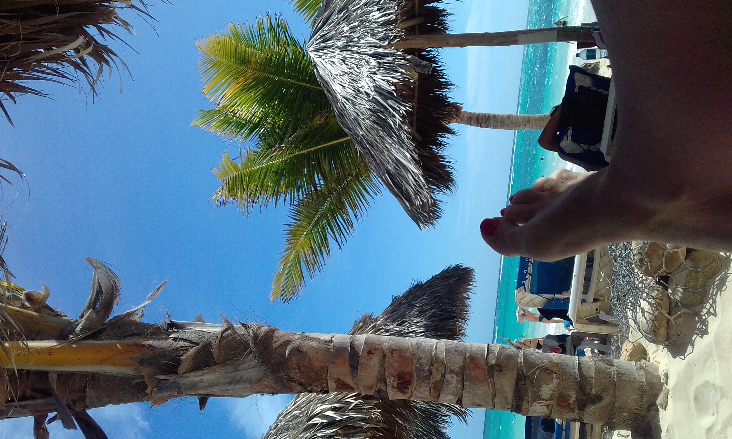 Фото Vik Hotel Arena Blanca