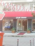 Gungoren Strawberry Room (İstanbul, Güngören, Merkez Mah., Gazi Osman Paşa Cad., 55A) ، محل أثاث