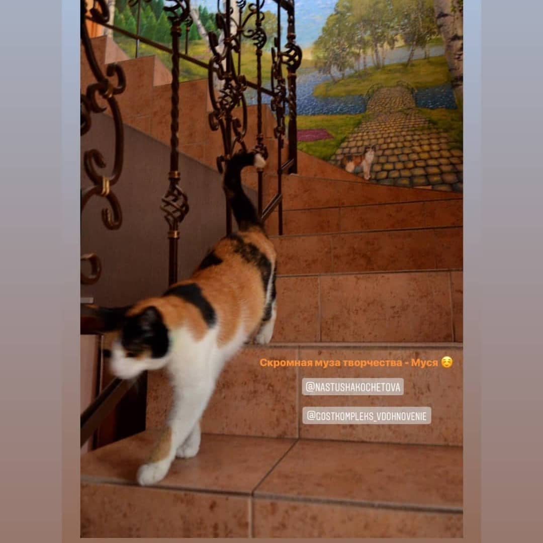 Фото Вдохновение