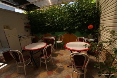 Фото Адениум