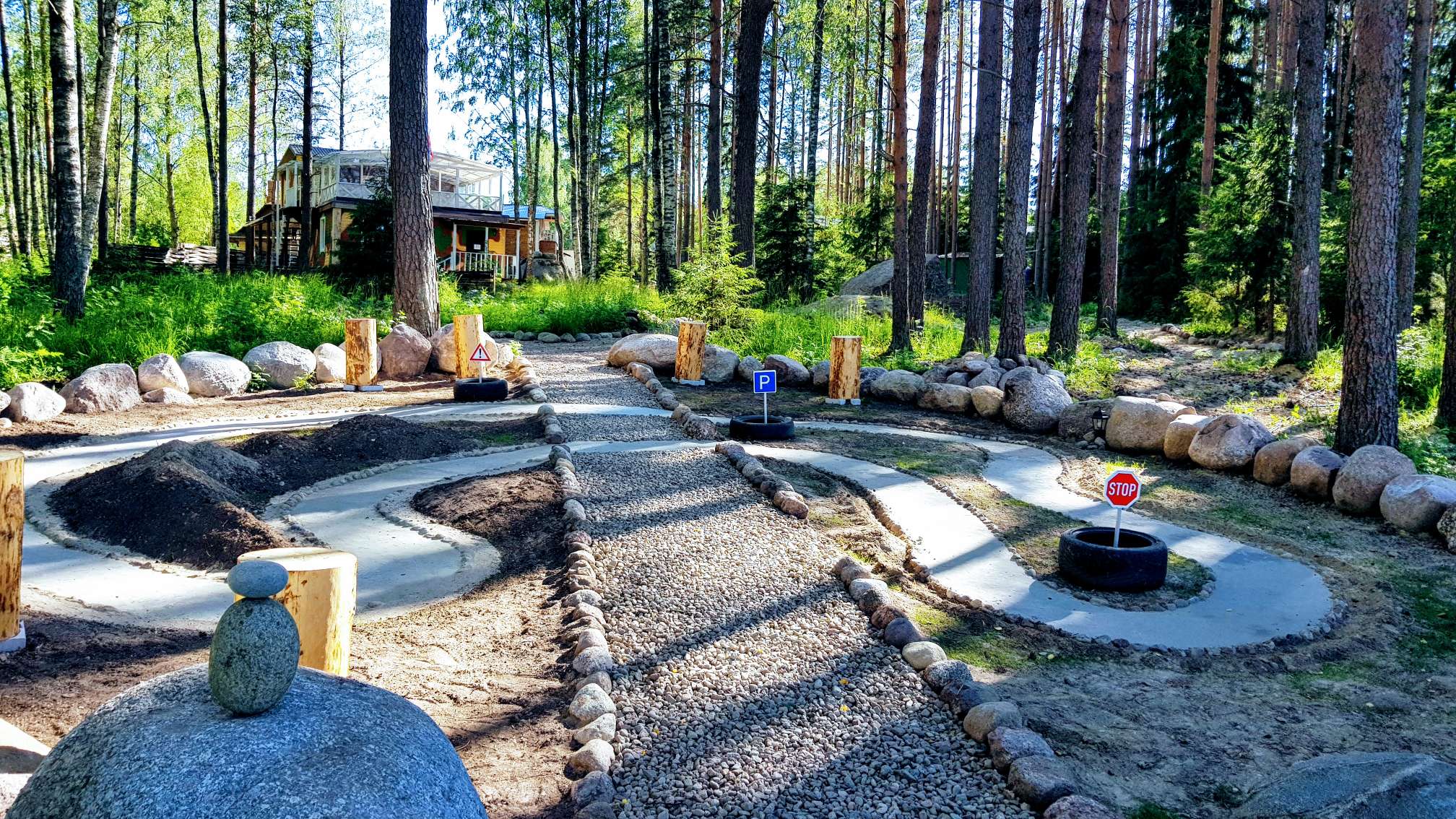 Фото Черная лиса