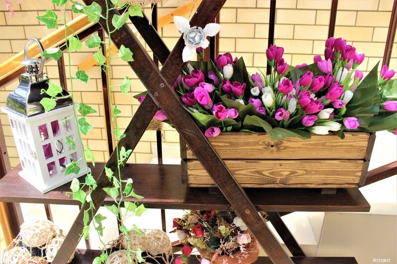 Фото Атлант