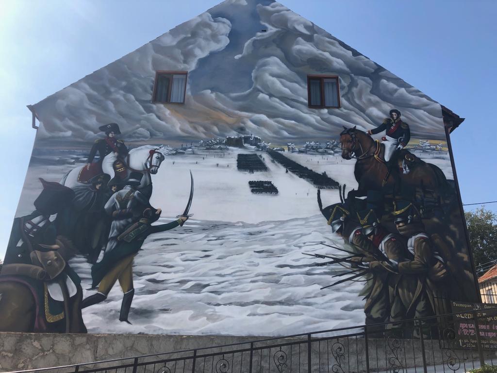 Фото Серый гусь