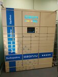Ozon.ru (Krzhizhanovskogo Street, 3) ، الطرود الآلي