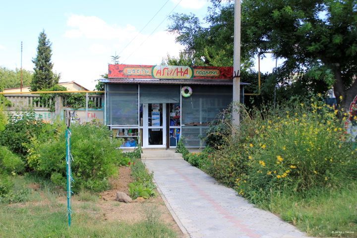 Фото В гостях у Тихона