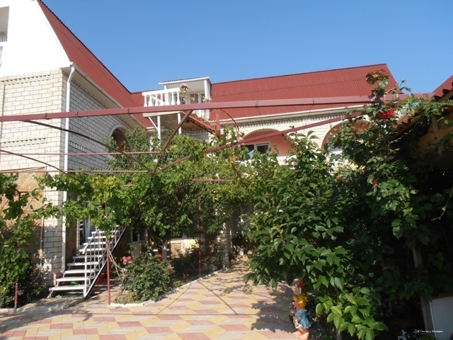 Фото Эльвира