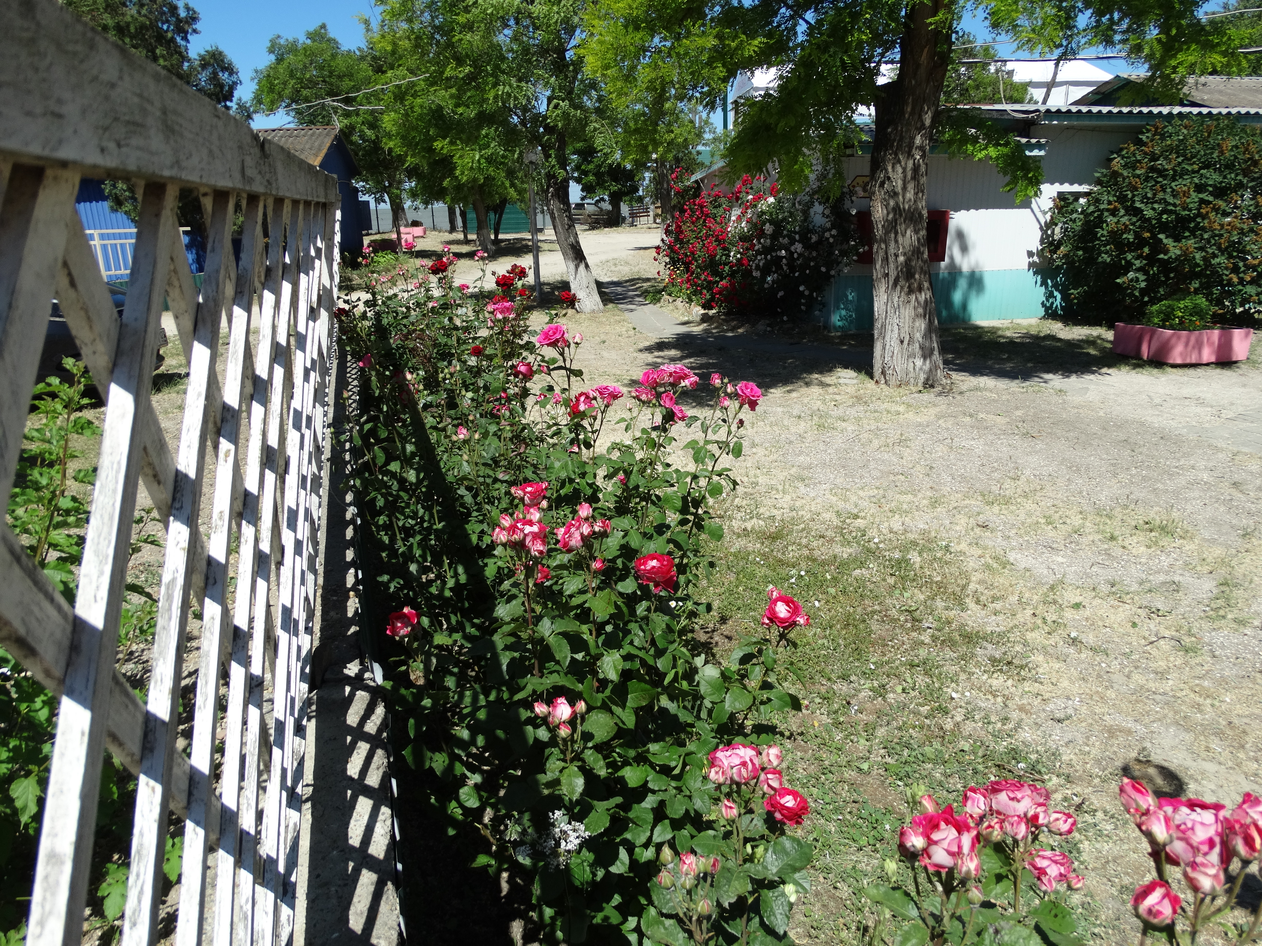 Фото Песчаная коса